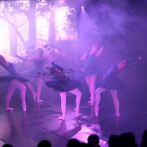 Ballerinas in Peacock Costumes Performing On Stage