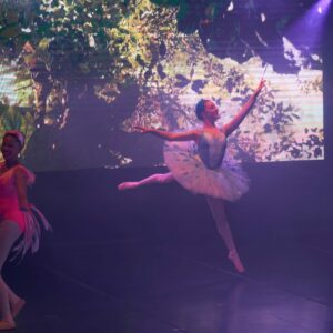 Ballerinas in Costume Performing On Stage