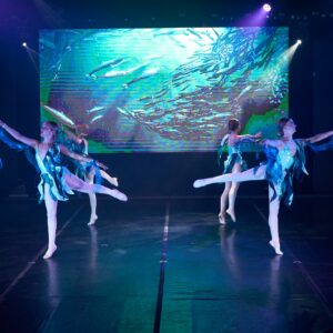 Ballerinas in Fish Costumes Performing On Stage
