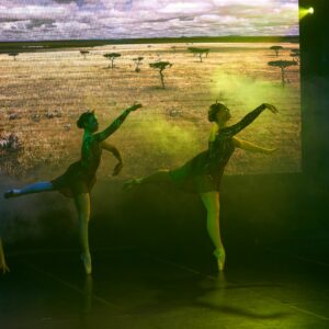 Ballerinas Performing On Stage